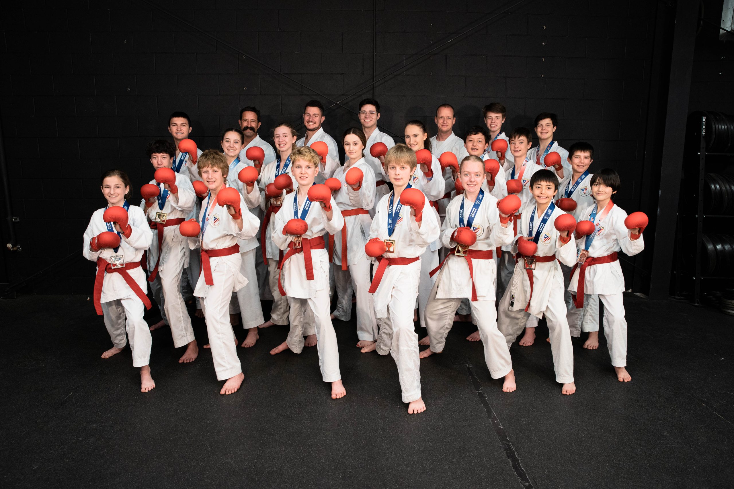Group of children in a karate stance